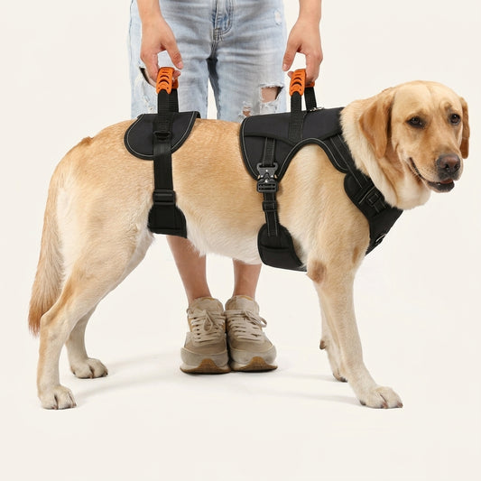 Two-piece lifting harness on a Labrador, an owner holding both orange handles (product rendering)